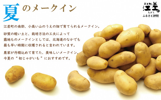 北海道江差町のふるさと納税 【早期予約：2026年7月頃～順次出荷予定】砂質土育ち「夏」メークイン M・L混合5kg　露地もの　手掘り　江差産メークイン　北海道のじゃがいも　芋の塩煮　肉じゃが　カレー　シチュー　コロッケ　色々なお料理に　北海道産