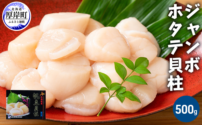 北海道厚岸町のふるさと納税 ジャンボホタテ貝柱 500g (12玉前後) 北海道 帆立 ホタテ ほたて 貝柱 ホタテ貝柱 玉冷 魚貝類