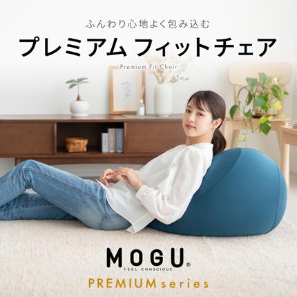 9月30日受付終了】 フィットチェア MOGU モグ プレミアム 全5色 カバー