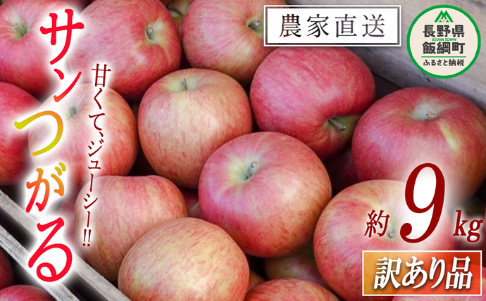 りんご サンつがる 訳あり 9kg 松橋りんご園 沖縄県への配送不可 2026