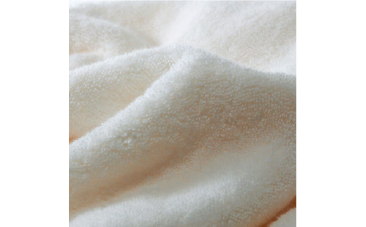 大阪府泉南市のふるさと納税 【 泉州タオル 】 泉州美人 バスタオル ２枚 （ 利休鼠 ）【039D-223】