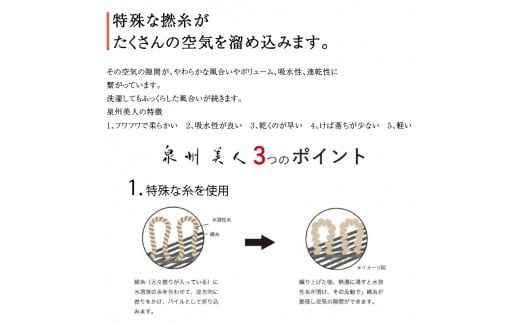 大阪府泉南市のふるさと納税 【 泉州タオル 】 泉州美人 バスタオル ２枚 （ 利休鼠 ）【039D-223】