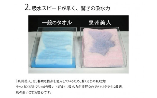 大阪府泉南市のふるさと納税 【 泉州タオル 】 泉州美人 バスタオル ２枚 （ 利休鼠 ）【039D-223】