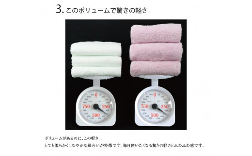 大阪府泉南市のふるさと納税 【 泉州タオル 】 泉州美人 バスタオル ２枚 （ 利休鼠 ）【039D-223】