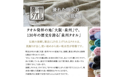 大阪府泉南市のふるさと納税 【 泉州タオル 】 泉州美人 バスタオル ２枚 （ 利休鼠 ）【039D-223】
