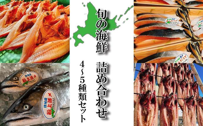 北海道新ひだか町のふるさと納税 北海道産 旬の魚介 4～5種 お楽しみ詰め合わせ セット