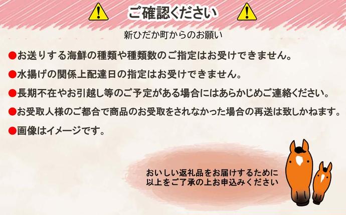 北海道新ひだか町のふるさと納税 北海道産 旬の魚介 4～5種 お楽しみ詰め合わせ セット