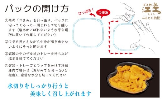 北海道江差町のふるさと納税 ＼2026年先行予約／北海道 江差前浜産 生うに たっぷり 1kg（100g×10パック）【無添加・みょうばん不使用】令和8年　江差産天然キタムラサキウニ　日本海熊石産海洋深層水　塩水ウニ　素材を生かした自然の味　国産うに　雲丹　100グラムパック個包装