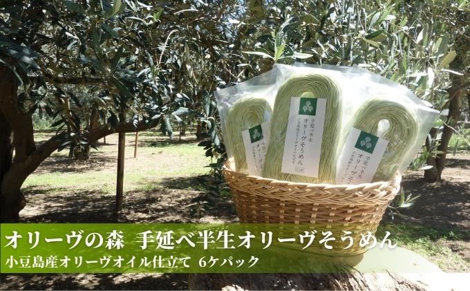 香川県土庄町のふるさと納税 【 小豆島 】オリーヴの森　手延べ半生オリーヴそうめん　小豆島産オリーヴオイル仕立て　6ケパック 麺類 素麺