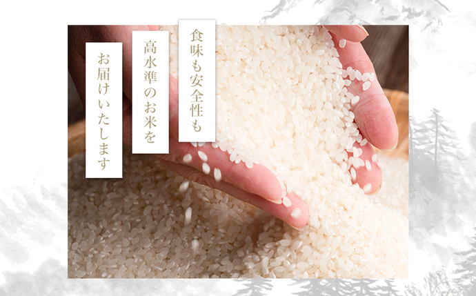 米 ミルキークイーン 5kg ( 令和7年産 ) 特別栽培米 仲俣農園 2025年10