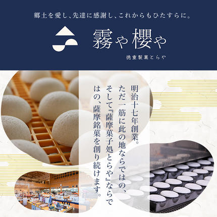 鹿児島県霧島市のふるさと納税 Z6-006 《セゾン限定》黒酢のアップルパイ10個【徳重製菓とらや】