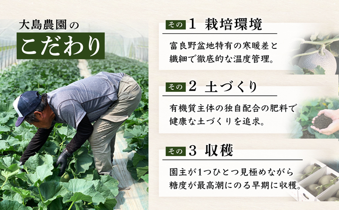 北海道富良野市のふるさと納税 【2026年7月中旬～発送】≪特秀≫ふらのメロン 赤肉 2玉 計3.6kg以上 北海道 富良野市 (大島農園)