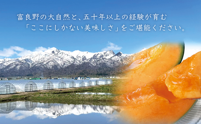 北海道富良野市のふるさと納税 【2026年7月中旬～発送】≪特秀≫ふらのメロン 赤肉 2玉 計3.6kg以上 北海道 富良野市 (大島農園)