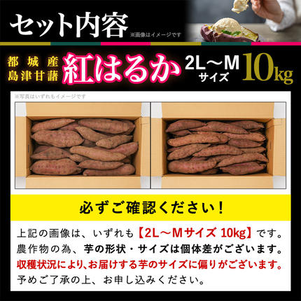 宮崎県都城市のふるさと納税 島津甘藷　熟成紅はるか 10kg(2L～M)_12-A701