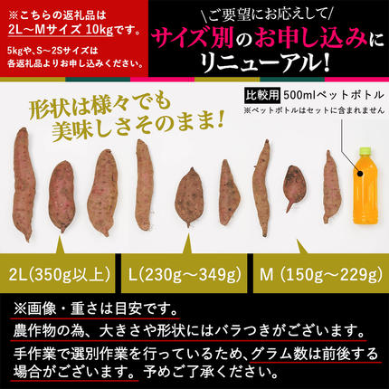 宮崎県都城市のふるさと納税 島津甘藷　熟成紅はるか 10kg(2L～M)_12-A701