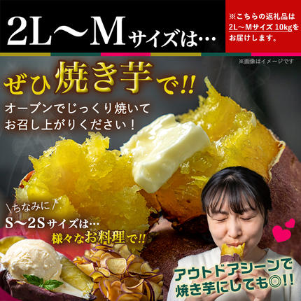 宮崎県都城市のふるさと納税 島津甘藷　熟成紅はるか 10kg(2L～M)_12-A701