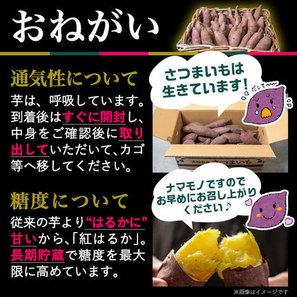 宮崎県都城市のふるさと納税 島津甘藷　熟成紅はるか 10kg(2L～M)_12-A701
