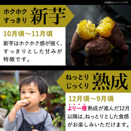 宮崎県都城市のふるさと納税 島津甘藷　熟成紅はるか 10kg(2L～M)_12-A701