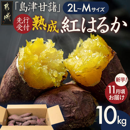 先行受付!【11月お届け】島津甘藷　熟成紅