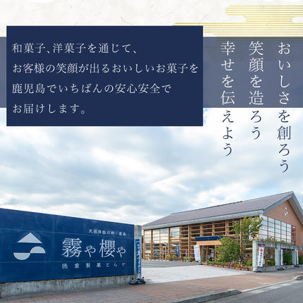 鹿児島県霧島市のふるさと納税 Z6-006 《セゾン限定》黒酢のアップルパイ10個【徳重製菓とらや】