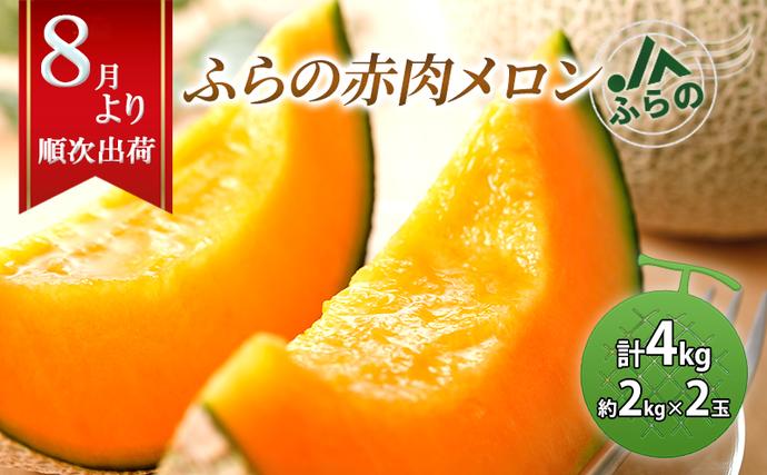 北海道南富良野町のふるさと納税 2026年夏発送  JAふらの厳選！ふらの 赤肉 メロン 2kg×2玉  メロン めろん 富良野メロン 果物 くだもの フルーツ 富良野 デザート 北海道 贈り物 ギフト 果物類 メロン赤肉 赤肉メロン