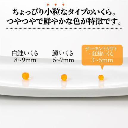 福岡県新宮町のふるさと納税 A1594.いくら醤油漬（サーモントラウト・紅鮭）400g（200g×2パック）