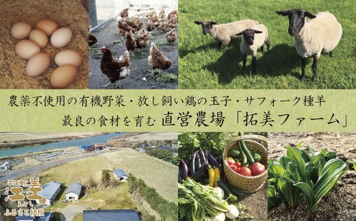 北海道江差町のふるさと納税 《江差旅庭 群来（くき）》ふるさと納税 宿泊ギフト券［10,000円分］　割引クーポン　北海道の高級旅館　大人の隠れ家　源泉かけ流し天然温泉宿　個室温泉付き客室　直営農場の平飼い卵・サフォーク羊・野菜山菜　船買いの新鮮魚介　山海の幸を活かす創作料理　温泉熱を利用した暖房給湯　食と環境にこだわった7部屋限定の癒しの宿