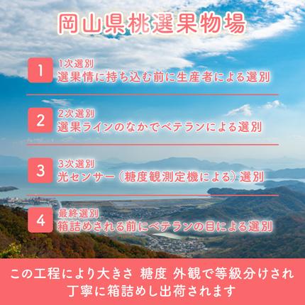 岡山県玉野市のふるさと納税 桃 2026年 先行予約 岡山 白桃 ロイヤル 4～6玉 約1kg JA おかやま のもも（早生種・中生種） もも モモ 岡山県産 国産 フルーツ 果物 ギフト