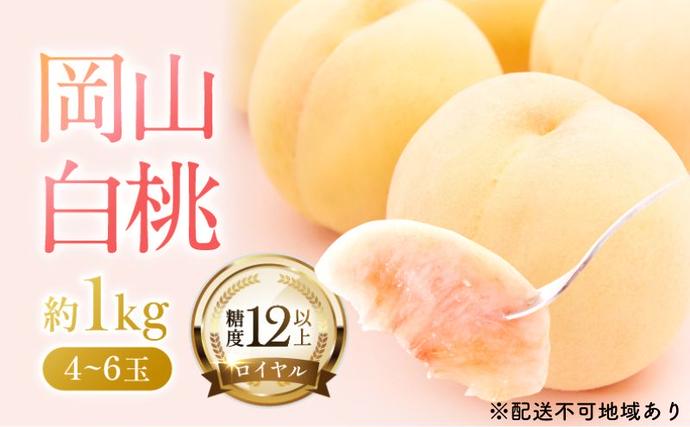 桃 2026年 先行予約 岡山 白桃 ロイ