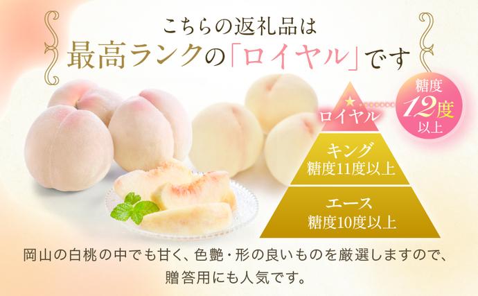 岡山県瀬戸内市のふるさと納税 桃 2026年 先行予約 岡山 白桃 ロイヤル  約1kg 4～6玉 JAおかやまのもも（早生種・中生種） もも モモ 岡山県産 国産 フルーツ 果物 ギフト