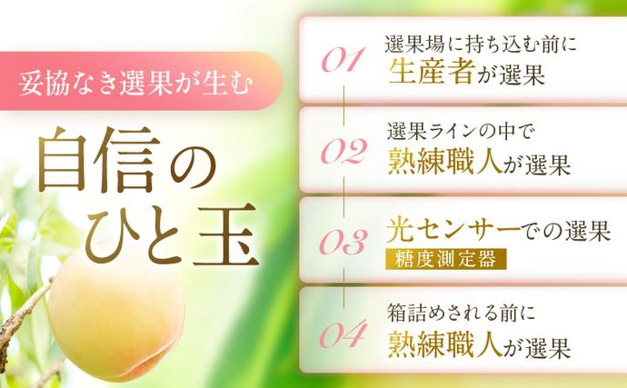 岡山県瀬戸内市のふるさと納税 桃 2026年 先行予約 岡山 白桃 ロイヤル  約1kg 4～6玉 JAおかやまのもも（早生種・中生種） もも モモ 岡山県産 国産 フルーツ 果物 ギフト