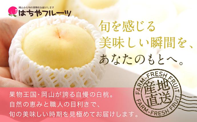 岡山県瀬戸内市のふるさと納税 桃 2026年 先行予約 岡山 白桃 ロイヤル  約1kg 4～6玉 JAおかやまのもも（早生種・中生種） もも モモ 岡山県産 国産 フルーツ 果物 ギフト
