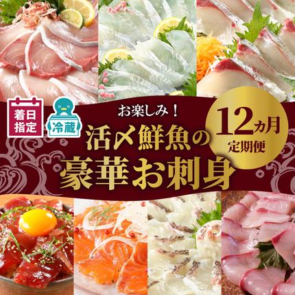 【お楽しみ定期便】延岡産活〆鮮魚の豪華お刺