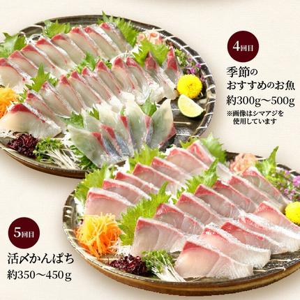 宮崎県延岡市のふるさと納税 【お楽しみ定期便】延岡産活〆鮮魚の豪華お刺身（12ヶ月定期便） N019-YYG0191