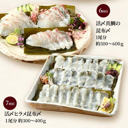 宮崎県延岡市のふるさと納税 【お楽しみ定期便】延岡産活〆鮮魚の豪華お刺身（12ヶ月定期便） N019-YYG0191