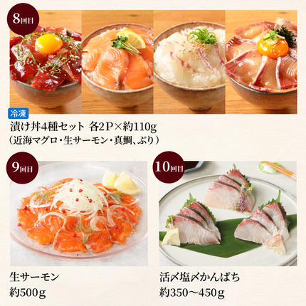 宮崎県延岡市のふるさと納税 【お楽しみ定期便】延岡産活〆鮮魚の豪華お刺身（12ヶ月定期便） N019-YYG0191