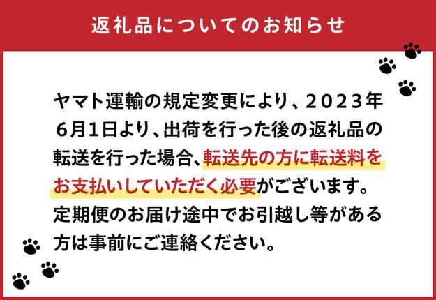 宮崎県延岡市のふるさと納税 【お楽しみ定期便】延岡産活〆鮮魚の豪華お刺身（12ヶ月定期便） N019-YYG0191