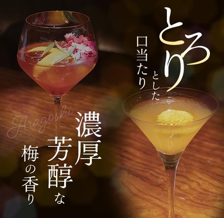 梅乃宿 あらごし梅酒 720ml ／ お酒 リキュール ギフト 贈り物