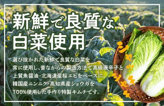 大阪府泉佐野市のふるさと納税 【リピーター続出！】白菜キムチ 1kg【新鮮野菜 高評価 人気 惣菜 きむち 漬物 韓国グルメ おつまみ 家計応援】 099H4178