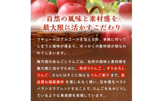 奈良県葛城市のふるさと納税 梅乃宿　あらごしりんご　７２０ｍｌ／国産　すりおろし　りんご　角切り　林檎　果汁　果肉　リキュール