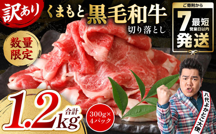 【訳あり】 くまもと黒毛和牛 切り落とし 