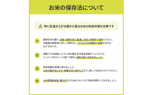 高知県芸西村のふるさと納税 KNK013-R7　12/21までに入金で年内配送 新米 コシヒカリ 10kg (5kg×2袋) 芸西米 げいせいまい 令和7年産 10キロ 米 こめ コメ こしひかり 精米 白米 お米 おこめ ご飯 国産 通販 お取り寄せ 送料無料