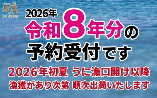 北海道江差町のふるさと納税 【セゾン限定寄附額】＼2026年先行予約／北海道 江差前浜産 生うに 100g【天然・無添加・みょうばん不使用】令和8年　江差産キタムラサキウニ　日本海熊石産海洋深層水　塩水ウニ　素材を生かした自然の味　国産うに　雲丹　100グラムパック個包装
