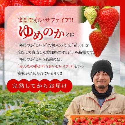 愛知県碧南市のふるさと納税 （予約受付中）【12月以降順次発送】まるで赤いサファイア!!丹精込めた完熟いちご!! 約450g H130-012