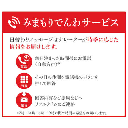 佐賀県神埼市のふるさと納税 神埼市内みまもりでんわサービス(固定電話・3ヶ月) 【支援 電話 防犯 お見守り 支援品 お礼の品 郵便局】(H068104)