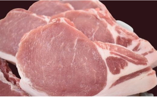 茨城県行方市のふるさと納税 DH-12 【美明豚】とんかつ用（ロース150g×5枚＋ヒレ500g×1本）