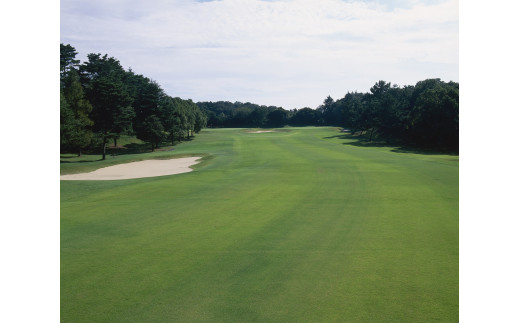 茨城県行方市のふるさと納税 AV-1 ☆土日祝限定プレー券〈1名様利用〉