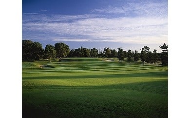 茨城県行方市のふるさと納税 AV-2 ☆平日限定プレー券〈２名様利用〉