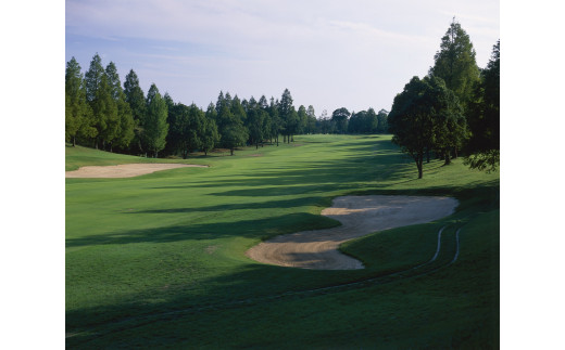 茨城県行方市のふるさと納税 AV-2 ☆平日限定プレー券〈２名様利用〉