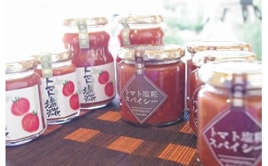 茨城県行方市のふるさと納税 E-4 トマト塩糀・スパイシートマト塩糀(各大・小2本)